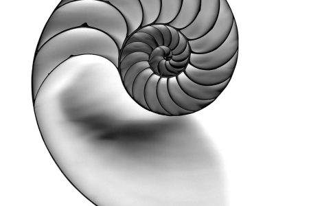 295358941_505905891426631_5126491853206683480_n