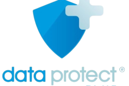LOGO_N1-300x248