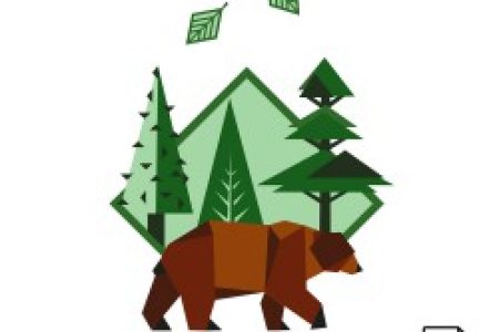 brown-bear-vector-graphics